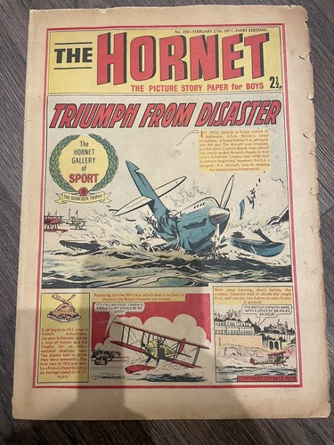 The hornet comic - hornet, issue