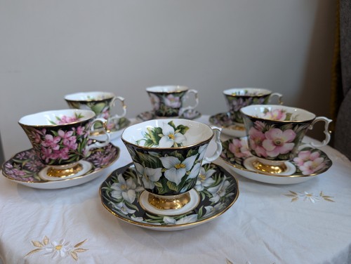 Royal albert provincial - royal,