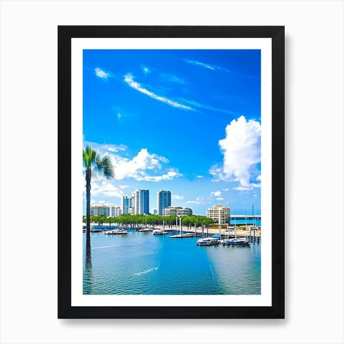 Clearwater photography art - ,