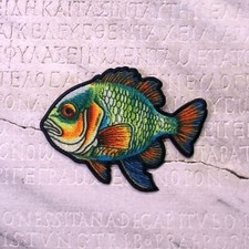 Bluegill Angler Fishing Iron