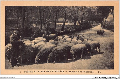 Aidp1 sheep 0069 scenes - aidp1-sheep-0069, and