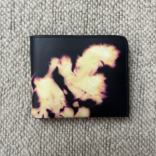 Men dries van noten - noten, wallet