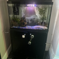 Complete Tropical Fish Tank