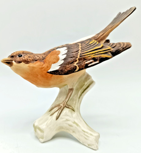 Goebel brambling pinson bird - brambling,