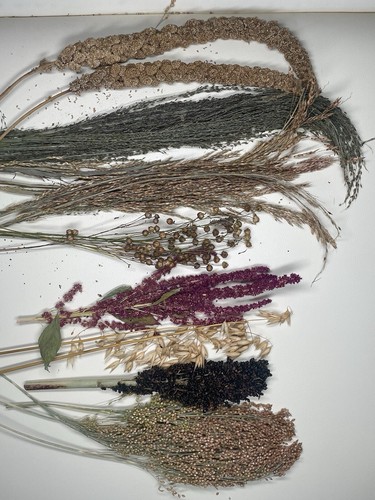 Hamster seed spray bouquet - spray,
