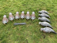 Decoy Pigeons For Shooting