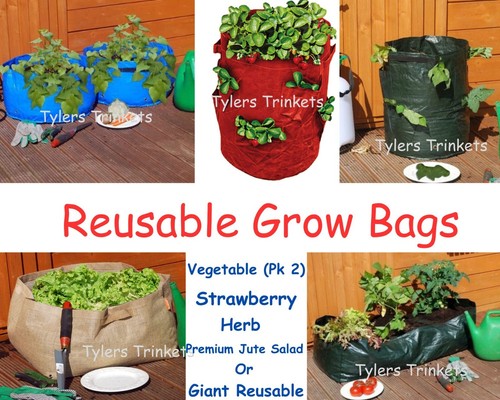 Garden growing bags planters - growing,