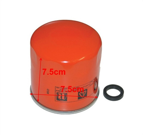 Diesel fuel filter lombardini - fuel,