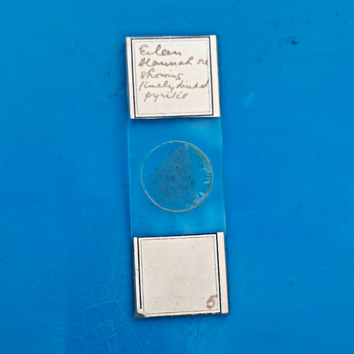 Prepared microscope specimen - prepared,