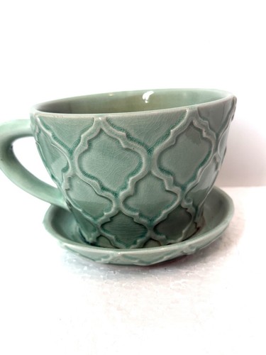 Teacup saucer planter plant - &,