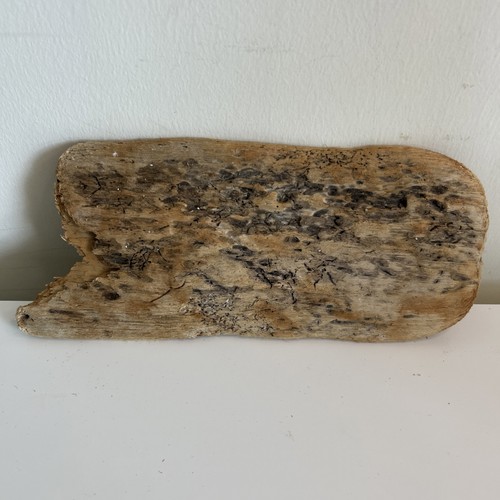 Flat unique driftwood piece - unique,
