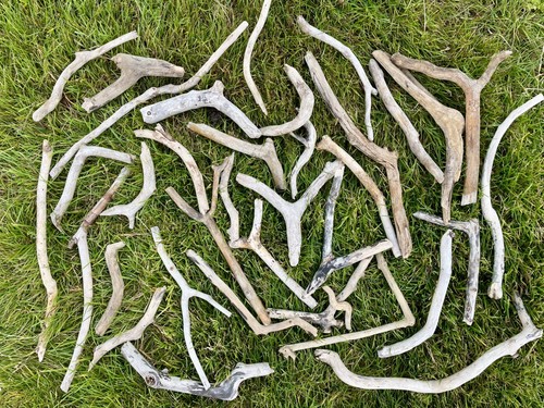 Curved driftwood pieces - driftwood,