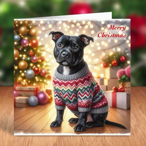 Staffordshire bull terrier dog - bull,