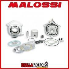 318460 THERMAL GROUP MALOSSI