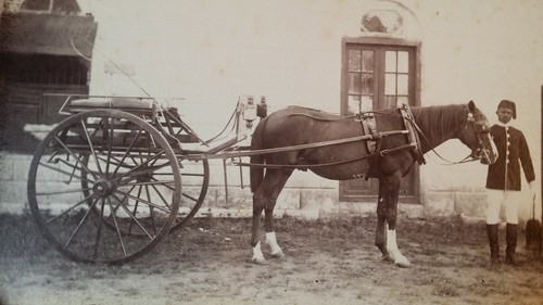 1880 large original - 1880's,