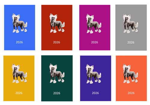 Chinese crested 2026 diary a5 - 2026, diary: