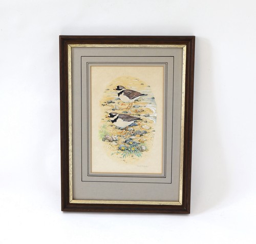 Original watercolour painting - original,