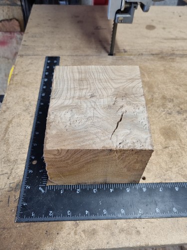 Elm block offcut - elm,