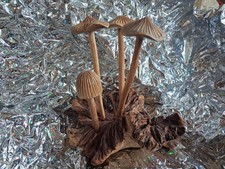 Wooden Mushrooms Toadstool Set