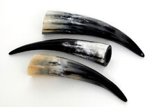 1 B-Goods Cow Horn 15-50 cm