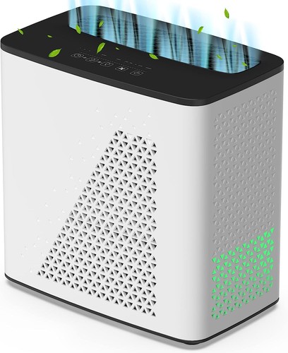 Air purifier for - air,