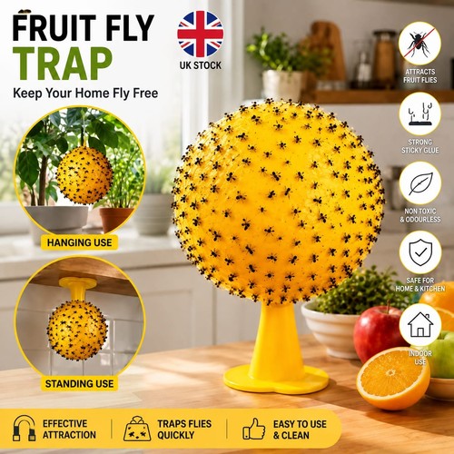 Fruit fly balls - fly, ball