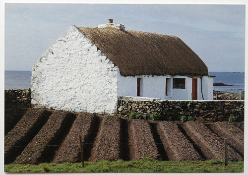 Thatched cottage potato - cottage, &