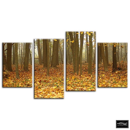 Autumn trees landscapes - autumn,