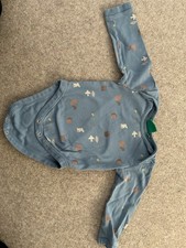 Little Green Radicals Long