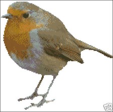 Robin Cross Stitch Kit 10" x