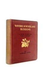 Wayside And Woodland Blossoms