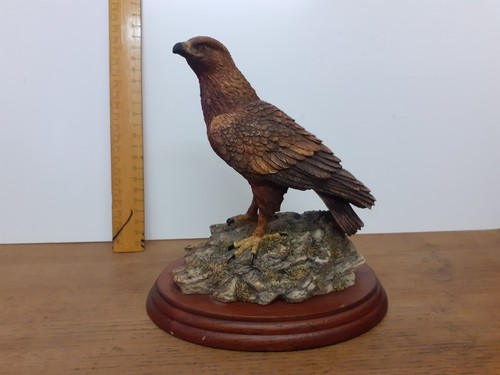 Border fine arts - arts:, eagle