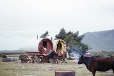 Gypsy Caravans Rural Landscape