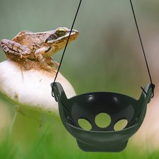  Decorative Reptile Habitat