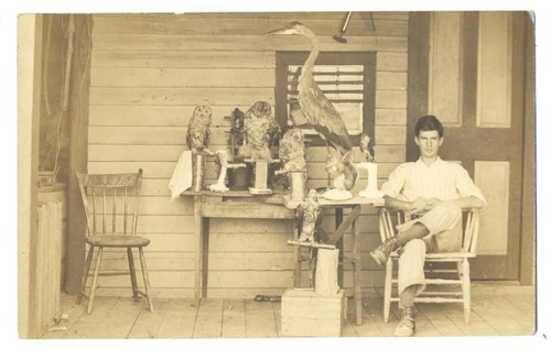 Great taxidermy 1914 - 1914, rppc