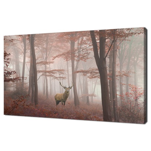Deer stag the - deer, in