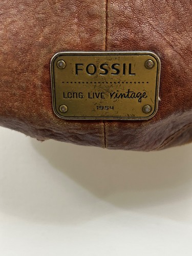 Fossil long live - vintage, 1954