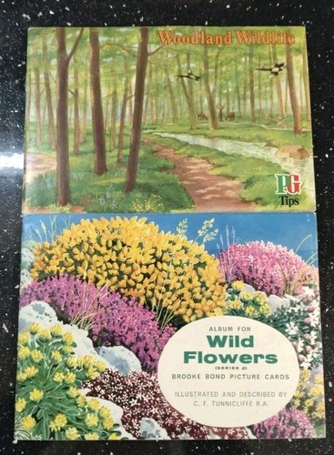 Brooke bond tea cards - 2,