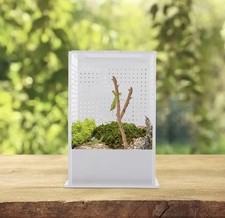 Reptile feeding box acrylic - reptile,