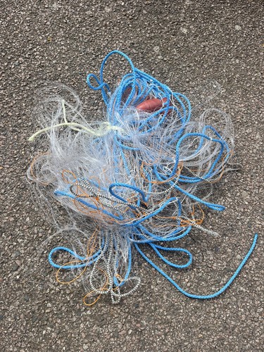 Gill net survival - gill, net/multi