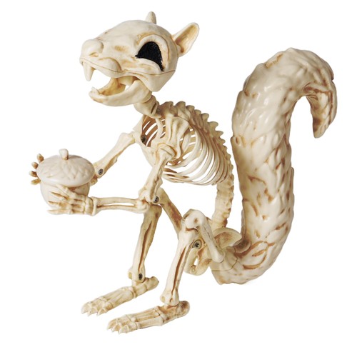 Joyin squirrel skeleton - joyin,