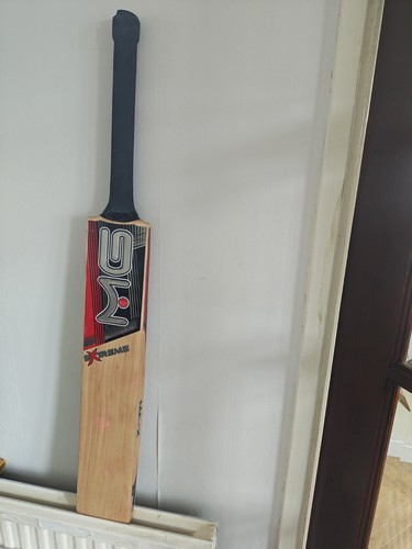 English willow cricket - english,