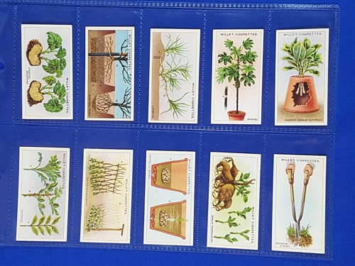 Will cigarette cards - cigarette,