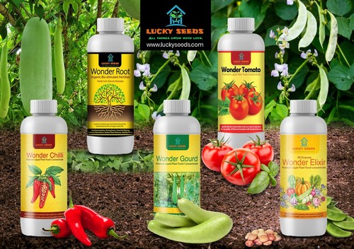Lucky seed plant food chilli - lucky,