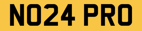 For pro 2024 number - for,