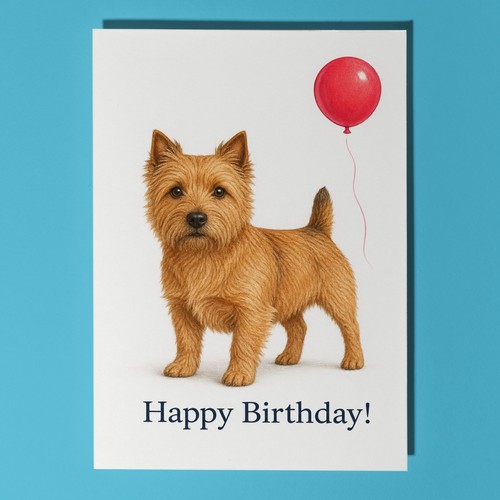 Norwich terrier personalised - norwich,
