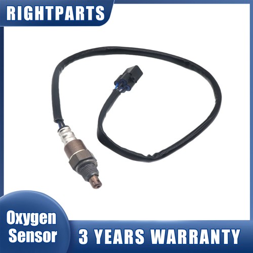 Oxygen sensor motorcycle - oxygen,