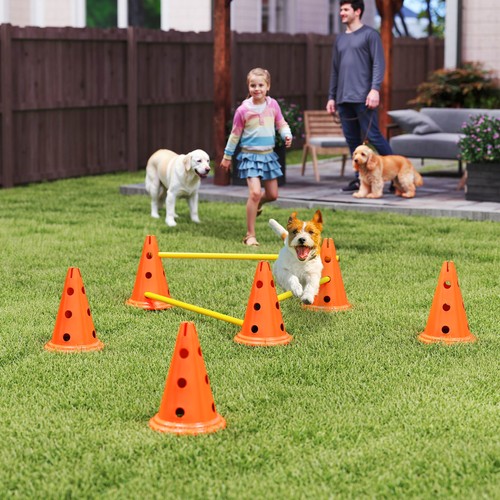 Orange 3pcs dog agility - orange,