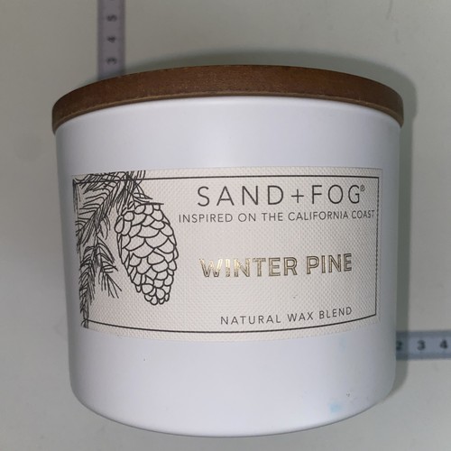 Sand fog winter - sand, pine