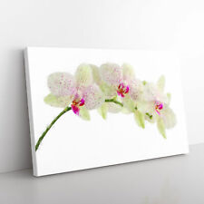 Orchid Flowers Vol.1 Canvas